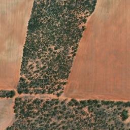 Satellite imagery of Wilgoyne Hill, AU