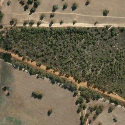 Satellite imagery of Yandin Hill, AU