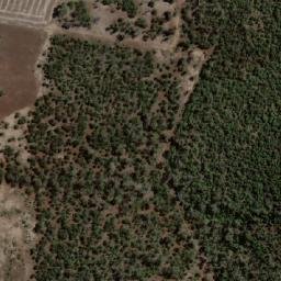 Satellite imagery of Mount Binalong, AU