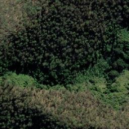 Satellite imagery of Paddys Mountain, AU