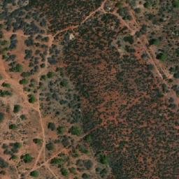 Satellite imagery of Sydenham, AU