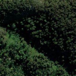 Satellite imagery of Fifes Knob, AU