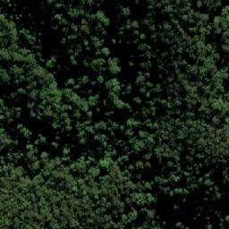 Satellite imagery of Fifes Knob, AU