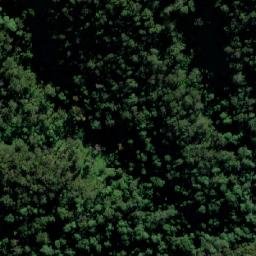 Satellite imagery of Fifes Knob, AU
