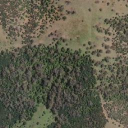 Satellite imagery of Mount Baldy, AU