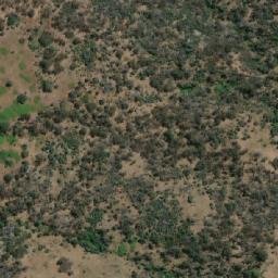 Satellite imagery of Black Jack Mountain, AU