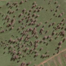 Satellite imagery of Black Mountain, AU
