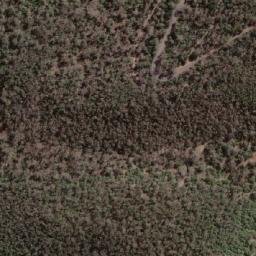 Satellite imagery of survey_point, AU