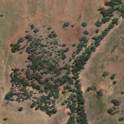 Satellite imagery of Serpent Hill, AU