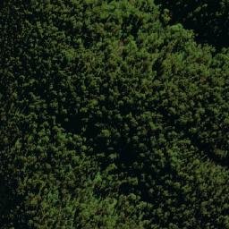 Satellite imagery of Flat Top Mountain, AU