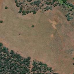 Satellite imagery of Fig Tree Hill, AU