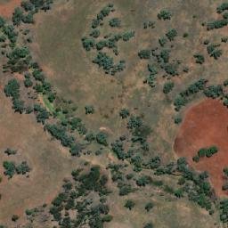 Satellite imagery of Fig Tree Hill, AU