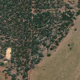 Satellite imagery of Fig Tree Hill, AU