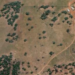 Satellite imagery of Fig Tree Hill, AU