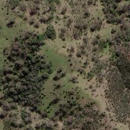 Satellite imagery of Adams Peak, AU