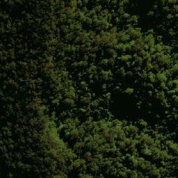 Satellite imagery of Mount Banda Banda, AU