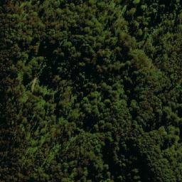 Satellite imagery of Mount Boss, AU