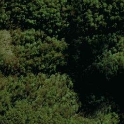 Satellite imagery of Lightning Ridge, AU