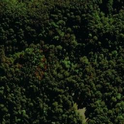 Satellite imagery of Mount Boss, AU