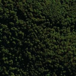 Satellite imagery of Mount Boss, AU