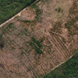 Satellite imagery of survey_point, BR