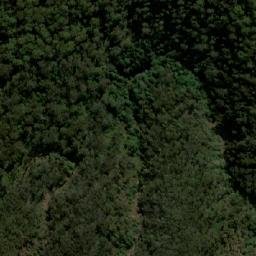 Satellite imagery of Mount Werrikimbe, AU