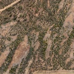 Satellite imagery of Moorine Rocks, AU