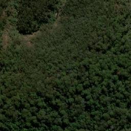 Satellite imagery of Mount Werrikimbe, AU
