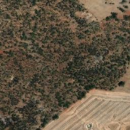 Satellite imagery of Kooranning, AU