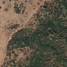 Satellite imagery of Wambelong Hill, AU