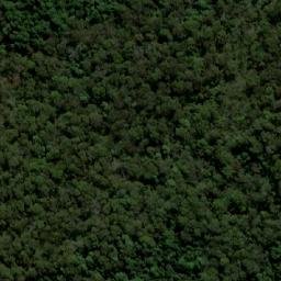Satellite imagery of Mount Werrikimbe, AU