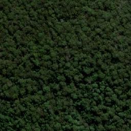 Satellite imagery of Mount Werrikimbe, AU