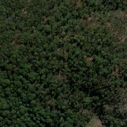 Satellite imagery of Mount Werrikimbe, AU
