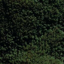 Satellite imagery of Flat Top Mountain, AU