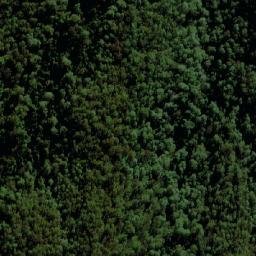 Satellite imagery of Flat Top Mountain, AU