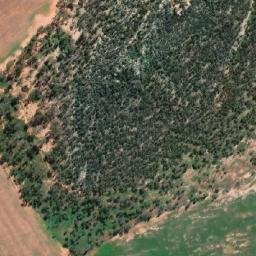 Satellite imagery of Mount Adam, AU