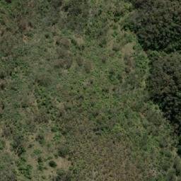 Satellite imagery of Thorntons Bluff, AU