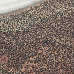 Satellite imagery of White Sand Hill, AU