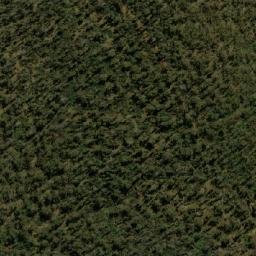 Satellite imagery of Ruwenzori Ridge, AU