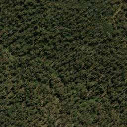Satellite imagery of Ruwenzori Ridge, AU