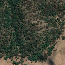 Satellite imagery of Black Mountain, AU