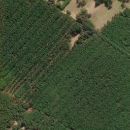 Satellite imagery of survey_point, BR