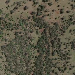 Satellite imagery of Mount Tamarang, AU