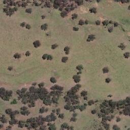 Satellite imagery of Companys Knob, AU