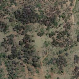 Satellite imagery of Companys Knob, AU