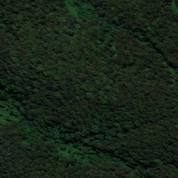 Satellite imagery of Comboyne, AU
