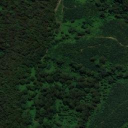 Satellite imagery of Comboyne, AU