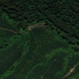 Satellite imagery of Comboyne, AU