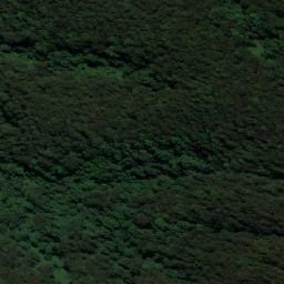 Satellite imagery of Comboyne, AU