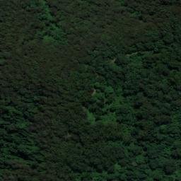 Satellite imagery of Comboyne, AU